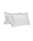 Home Embossed Ocean Waves 2 Pack Pillows, Standard