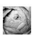 Фото #1 товара Laura Marshall Ranunculus Abstract III Bw Light Canvas Art - 15" x 20"