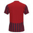 Фото #2 товара JOMA Copa II short sleeve T-shirt