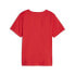 PUMA Individual Rise Graph short sleeve T-shirt