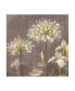 Фото #1 товара Danhui Nai Spring Blossoms Neutral III Canvas Art - 36.5" x 48"