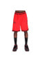 Фото #1 товара Chicago Bulls Dri-Fit NBA Erkek Kırmızı Basketbol Şortu DN9132-657
