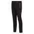 REGATTA Mountain III pants