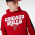 Фото #4 товара NEW ERA Chicago Bulls NBA Large Graphic hoodie