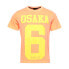 Фото #5 товара SUPERDRY Osaka Neon Graphic short sleeve T-shirt