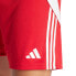 Фото #10 товара Adidas Tiro 24 M shorts IR9379