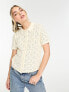 Levi's Seaside knitted top with collar