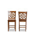 Nicolette Modern and Contemporary Transitional Wood Counter Stool Set, 2 Piece
