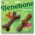 Dog chewing toy Benebone Brown animals