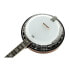 Фото #5 товара Richwood RMB-905-A 5 String Banjo