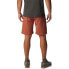 Фото #2 товара COLUMBIA Silver Ridge™ Extended Shorts