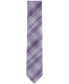 ფოტო #1 პროდუქტის Men's Delia Plaid Tie