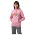 DICKIES Icon Logo hoodie