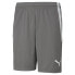 PUMA TeamLiga Shorts