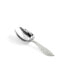 Shagreen Ice Scoop