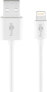 Wentronic Lightning USB Charging and Sync Cable - 3 m - 3 m - Lightning - USB A - Male - Male - White