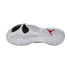 Nike Jordan shoes Max Aura 4 M DN3687-160