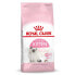 Фото #1 товара ROYAL CANIN Kitten 400 g Cat Food