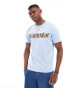 PS Paul Smith t-shirt with zebra cards print in light blue