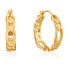 ANIA HAIE E021-04G Earrings