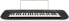 Фото #7 товара Синтезатор CASIO CTK-240 с 49 клавишами, черный