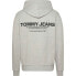 TOMMY JEANS Reg Entry Graphic hoodie