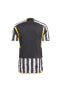 Фото #89 товара Футболка Adidas Juventus 23/24 Home