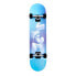 Фото #1 товара ACTA Wordart 7.5 Skateboard