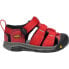 KEEN Newport H2 sandals