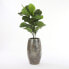 Фото #2 товара Kunstpflanze Ficus Lyrata