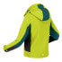 Фото #4 товара REGATTA Acidity V softshell jacket