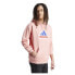 ADIDAS Future Icons Bos Oly hoodie