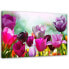 Фото #1 товара Leinwandbilder Tulpen Lila Blumen Natur