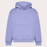 Фото #3 товара OAKLEY APPAREL Soho Po 3.0 hoodie