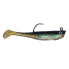 Hogy Protail Paddle Swimbait