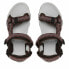 Mountain sandals Campagnolo CMP Hamal Hiking Brown