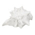 Фото #1 товара Декоративная фигура Белый Раковина 21 x 19 x 13 cm