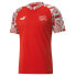 Фото #1 товара Puma Sfv Prematch Crew Neck Short Sleeve Soccer Jersey Mens Red 76741601