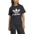 ADIDAS ORIGINALS Trefoil Regular short sleeve T-shirt