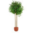 Фото #1 товара Искусственное растение Home ESPRIT Дерево полиэстер Бамбук 80 x 80 x 180 см