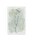 Фото #1 товара June Erica Vess Stone Flower Study I Canvas Art - 15" x 20"