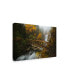 Фото #2 товара Enrico Fossat A Bridge in the Forest Canvas Art - 36.5" x 48"
