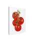 Фото #2 товара Naomi Mccavitt Watercolor Veggie IV Canvas Art - 20" x 25"