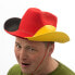Фото #1 товара Германская ковбойская шляпа с флагом Shico 285938