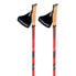 VIKING Kube Pro poles