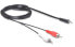 Фото #1 товара Delock Kabel Audio 3.5 mm Klinkenstecker> 2 x Cinch Stecker 5 m - Cable - Audio/Multimedia