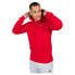 Фото #1 товара LE COQ SPORTIF ESS N°1 Hoodie