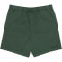 Фото #1 товара ELEMENT Cornell 3.0 shorts