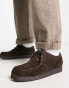 Schuh phoenix desert shoes in brown suede