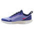 NIKE Court Zoom Pro Clay Clay Shoes